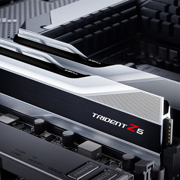 G.SKill Trident Z5 32GB (16GBx2) DDR5 5600MHz RAM (Metallic Silver)